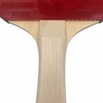 Sport si Outdoor - Sporturi cu paleta - Tenis de masa - Palete si mingi tenis de masa - Set Butterfly 2 palete tenis de masa + 6 mingi - Infinity.ro