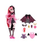 Jucarii, Copii si Bebe - Jucarii si jocuri - Papusi si accesorii - Papusi - Monster high papusa draculaura cu animalut si accesorii - Infinity.ro