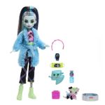 Jucarii, Copii si Bebe - Jucarii si jocuri - Papusi si accesorii - Papusi - Monster high papusa creepover party frankie - Infinity.ro
