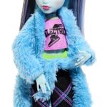 Jucarii, Copii si Bebe - Jucarii si jocuri - Papusi si accesorii - Papusi - Monster high papusa creepover party frankie - Infinity.ro