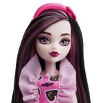 Jucarii, Copii si Bebe - Jucarii si jocuri - Papusi si accesorii - Papusi - Monster high papusa draculaura - Infinity.ro