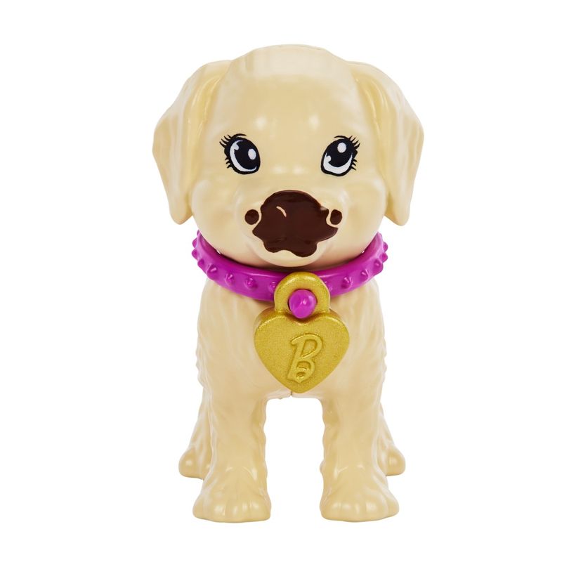 Jucarii, Copii si Bebe - Jucarii si jocuri - Papusi si accesorii - Papusi - Barbie set papusa Barbie pup adoption - Infinity.ro