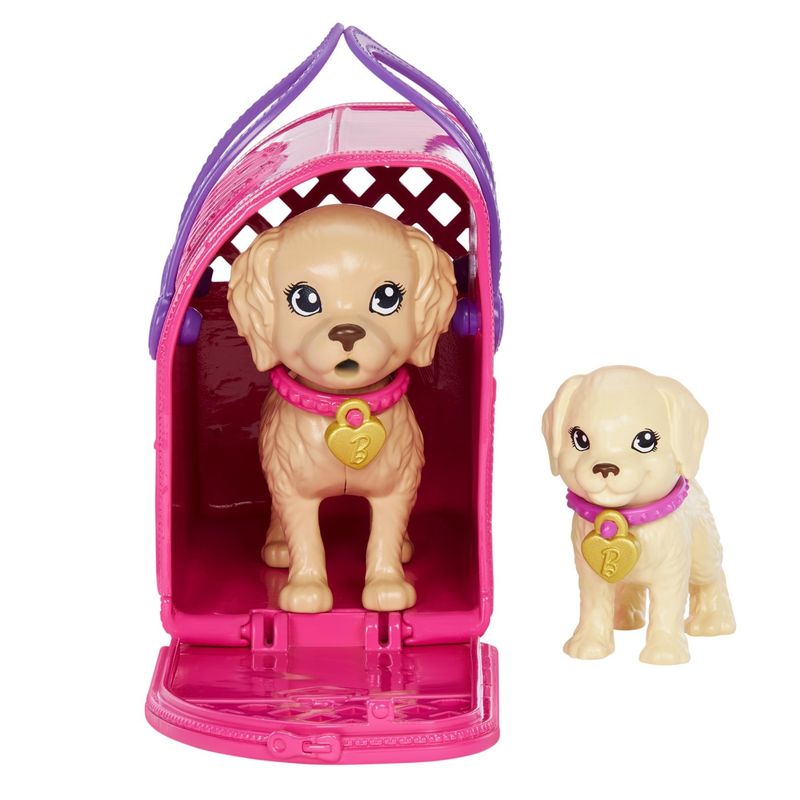 Jucarii, Copii si Bebe - Jucarii si jocuri - Papusi si accesorii - Papusi - Barbie set papusa Barbie pup adoption - Infinity.ro