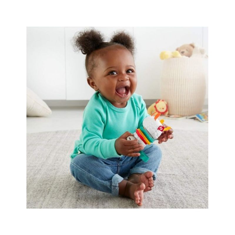 Jucarii, Copii si Bebe - Jucarii si jocuri - Jucarii bebelusi - Jucarii zornaitoare - Fisher price jucarii zornaitoare lama multicolora - Infinity.ro