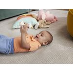 Jucarii, Copii si Bebe - Jucarii si jocuri - Jucarii bebelusi - Jucarii zornaitoare - Fisher price jucarie zornaitoare gasca - Infinity.ro