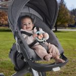 Jucarii, Copii si Bebe - Jucarii si jocuri - Jucarii bebelusi - Jucarii zornaitoare - Fisher price jucarie zornaitoare salamandra - Infinity.ro