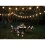 Casa si Gradina - Corpuri si surse de iluminat - Iluminat exterior - Instalatii luminoase exterior - Ghirlanda luminoasa, 15 becuri, lungime totala 15 m, clasa impermeabilitate IP44, lungime intre becuri 1m, Gonga® Negru - Infinity.ro