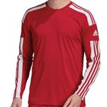 Sport si Outdoor - Echipament Sportiv - Imbracaminte sport - Bluze sport - Bluza Adidas Squadra 21 pentru barbati, S - Infinity.ro