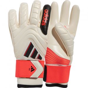 Sport si Outdoor - Echipament Sportiv - Infinity.ro