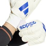 Sport si Outdoor/Echipament Sportiv/Accesorii echipament sportiv/Manusi sport - Manusi portar Adidas Copa Club, 10 - Infinity.ro