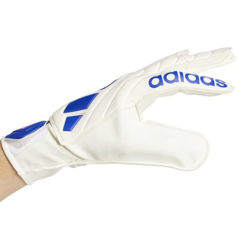 Sport si Outdoor/Echipament Sportiv/Accesorii echipament sportiv/Manusi sport - Manusi portar Adidas Copa Club, 10 - Infinity.ro