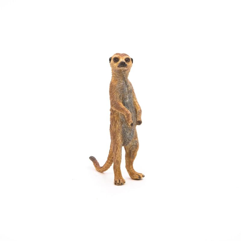 Jucarii, Copii si Bebe - Jucarii si jocuri - Figurine - Papo figurina suricata - Infinity.ro