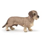 Jucarii, Copii si Bebe - Jucarii si jocuri - Figurine - Papo figurina catel teckel - Infinity.ro