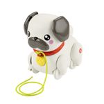 Jucarii, Copii si Bebe - Jucarii si jocuri - Jucarii & jocuri educative - Jucarii interactive - Fisher price jucarie de tras interactiva catel cu miscari si sunete - Infinity.ro