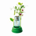 Jucarii, Copii si Bebe - Jucarii si jocuri - Jucarii & jocuri educative - Jucarii interactive - Gradina mea stiinta joaca - Infinity.ro