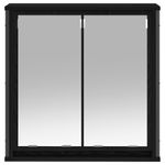 Casa si Gradina - Mobilier - Mobilier baie - Corpuri baie - Dulap de baie cu oglinda stejar negru 60x21x60 cm - Infinity.ro