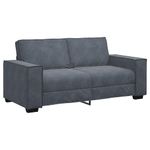Casa si Gradina - Mobilier - Canapele si coltare - Canapele - Canapea cu 2 locuri, gri inchis, 140 cm, catifea - Infinity.ro