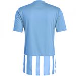 Sport si Outdoor - Echipament Sportiv - Imbracaminte sport - Tricouri sport - Tricou Adidas Striped 21 pentru barbati, S - Infinity.ro
