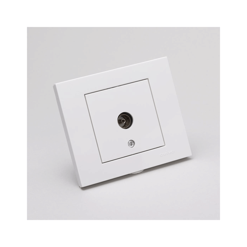 Casa si Gradina - Electrice - Prize - Priza TV Capat alb - Infinity.ro