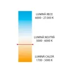 Casa si Gradina - Corpuri si surse de iluminat - Becuri si tuburi neon - Becuri - Bec LED sferic G45 E14 6W lumina calda LC 3000K Valcor VLC11005 - Infinity.ro