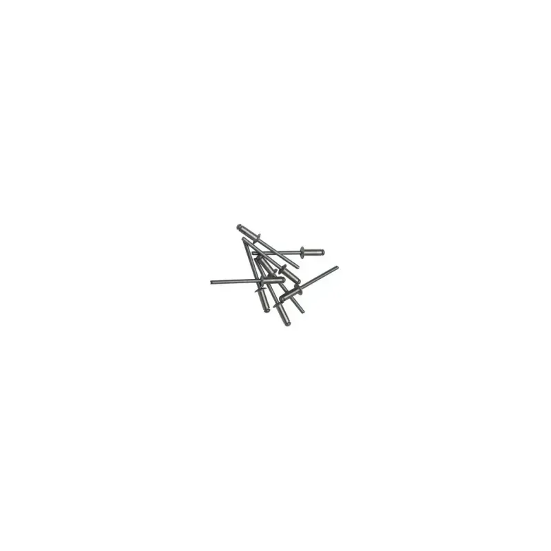 Casa si Gradina - Constructii - Feronerie si accesorii - Suruburi, dibluri si accesorii uz general - Pop nit 4.8 x 20 mm (100 buc), DSH 290756 - Infinity.ro