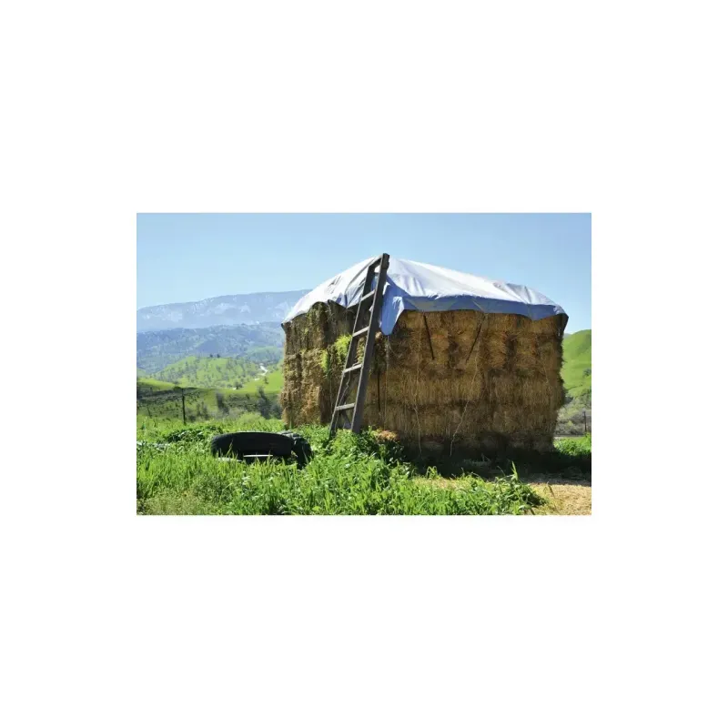 Casa si Gradina - Gradinarit si plante - Sere si solarii - Prelata impermeabila cu inele 5 x 6 m - 150 g/mp, argintiu, DSH 104244 - Infinity.ro