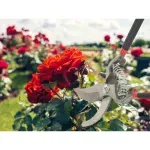 Casa si Gradina - Gradinarit si plante - Unelte gradinarit - Foarfeci gradinarit - Foarfeca gradinarit, maner din plastic, buton blocare, 20 cm, Gonga® Negru - Infinity.ro