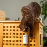 Electronice si Electrocasnice - Climatizare si sisteme de incalzire - Aparate filtrare aer - Purificatoare de aer - Purificator de aer smart PETONEER Odor Eliminator pentru animale, Detectare IR, Baterie 2200 mAh, Micro USB,Gonga® Alb - Infinity.ro