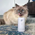 Electronice si Electrocasnice - Climatizare si sisteme de incalzire - Aparate filtrare aer - Purificatoare de aer - Purificator de aer smart PETONEER Odor Eliminator pentru animale, Detectare IR, Baterie 2200 mAh, Micro USB,Gonga® Alb - Infinity.ro