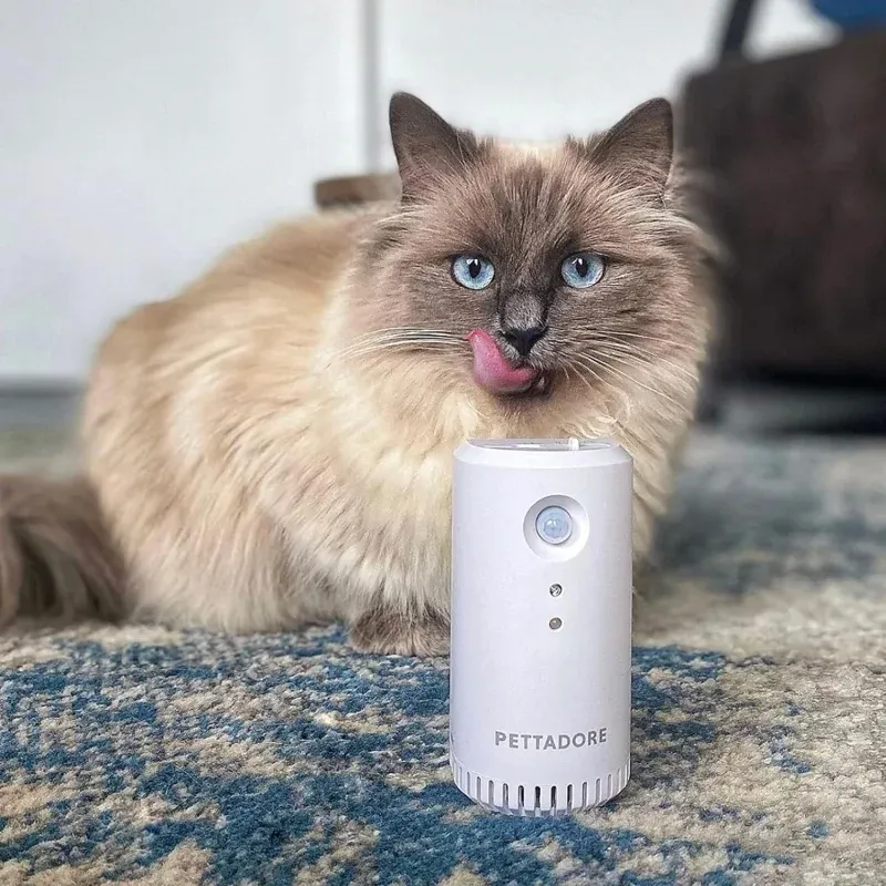 Electronice si Electrocasnice - Climatizare si sisteme de incalzire - Aparate filtrare aer - Purificatoare de aer - Purificator de aer smart PETONEER Odor Eliminator pentru animale, Detectare IR, Baterie 2200 mAh, Micro USB,Gonga® Alb - Infinity.ro