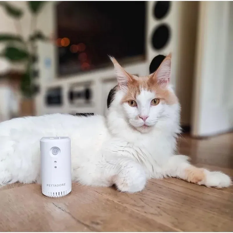 Electronice si Electrocasnice - Climatizare si sisteme de incalzire - Aparate filtrare aer - Purificatoare de aer - Purificator de aer smart PETONEER Odor Eliminator pentru animale, Detectare IR, Baterie 2200 mAh, Micro USB,Gonga® Alb - Infinity.ro