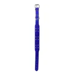 Petshop - Accesorii petshop - Zgarzi, lese si hamuri - Zgarzi - Zgarda pentru caini, eco-piele cu tinte, reglabila, 62x3.5cm, XL, Gonga® Albastru - Infinity.ro