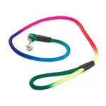 Petshop - Accesorii petshop - Zgarzi, lese si hamuri - Lese - Lesa pentru caini, foarte rezistenta, 1.2 m, Gonga® Multicolor - Infinity.ro