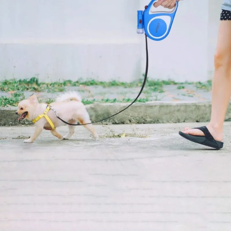 Petshop - Accesorii petshop - Zgarzi, lese si hamuri - Lese - Lesa automata cu functie de blocare, lanterna led, lungime 5m, maxim 15kg, Gonga® Albastru - Infinity.ro