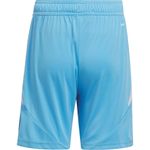 Sport si Outdoor - Echipament Sportiv - Imbracaminte sport - Pantaloni sport - Pantaloni Adidas Tiro 24 Training pentru barbati, 2XL - Infinity.ro
