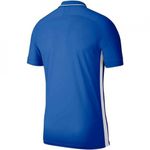 Sport si Outdoor - Echipament Sportiv - Imbracaminte sport - Tricouri sport - Tricou Nike Academy 19 Polo pentru barbati, S - Infinity.ro