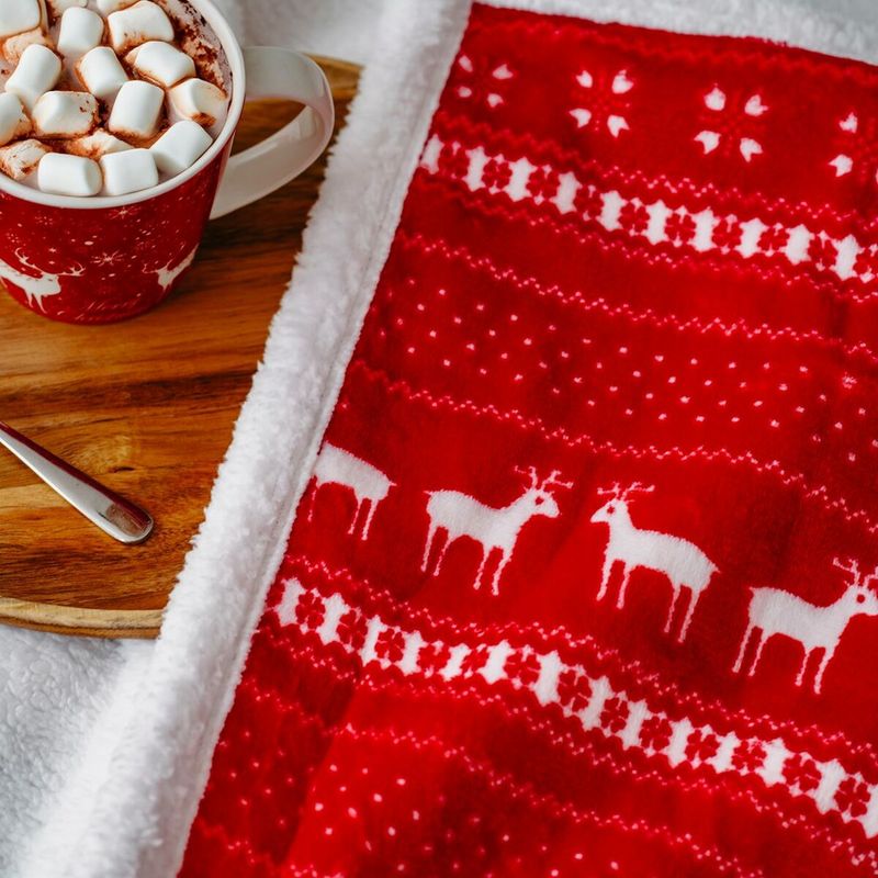 Ingrijire personala si Cosmetice - Sanatate si wellness - Articole wellness - Incalzitoare corporale - Patura electrica Camry CR7441, 160x180cm, 10 nivele temperatura, timer 1-10 ore, 120W - Infinity.ro