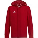 Sport si Outdoor - Echipament Sportiv - Imbracaminte sport - Bluze sport - Bluza Adidas Entrada 22 Allweather pentru barbati, S - Infinity.ro