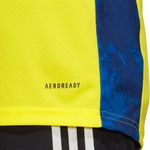 Sport si Outdoor - Echipament Sportiv - Imbracaminte sport - Bluze sport - Bluza Adidas Adipro 20 Goalkeeper pentru barbati, S - Infinity.ro