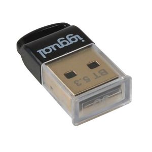 Adaptator Bluetooth iggual IGG319383