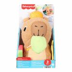Jucarii, Copii si Bebe - Jucarii si jocuri - Jocuri si puzzle - Jocuri de societate - Papusa bebelus Fisher Price - Infinity.ro