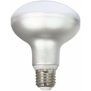 Casa si Gradina - Corpuri si surse de iluminat - Benzi LED - Infinity.ro