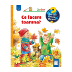 Carti si Birotica - Carti - Carti pentru copii - Basme si povesti - Ce facem toamna?, Andrea Erne, Susanne Szesny - Infinity.ro