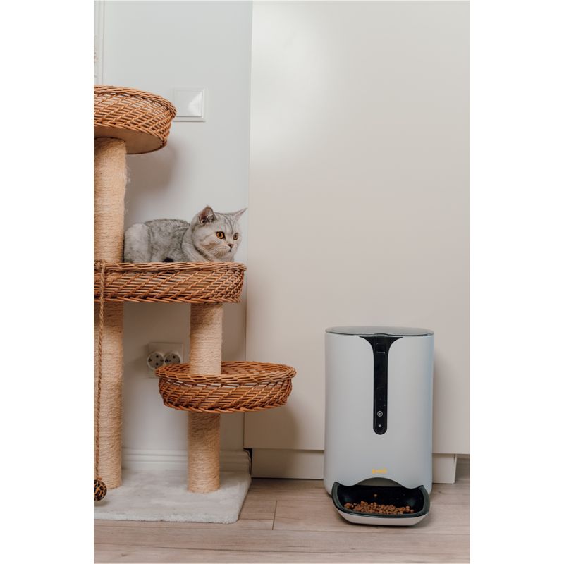 Petshop - Accesorii petshop - Castroane si adapatori - Hranitor Automat 6L ABY PRODUCTS, pentru Caini si Pisici, Smart, Camera VIDEO, Wi-Fi, Aplicatie Telefon - Infinity.ro