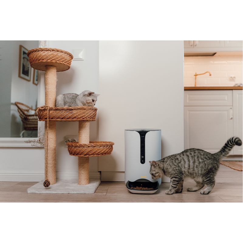 Petshop - Accesorii petshop - Castroane si adapatori - Hranitor Automat 6L ABY PRODUCTS, pentru Caini si Pisici, Smart, Camera VIDEO, Wi-Fi, Aplicatie Telefon - Infinity.ro