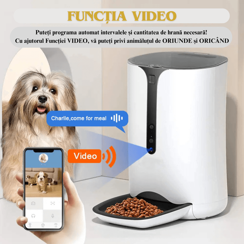 Petshop - Accesorii petshop - Castroane si adapatori - Hranitor Automat 6L ABY PRODUCTS, pentru Caini si Pisici, Smart, Camera VIDEO, Wi-Fi, Aplicatie Telefon - Infinity.ro