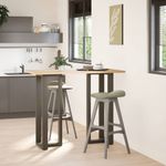 Casa si Gradina - Mobilier - Feronerie si accesorii mobila - Picioare pentru masa de bar in forma de T, 2 buc natural otel, mărime 50x35x(110-111) cm - Infinity.ro