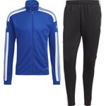 Fashion, accesorii si bijuterii - Barbati - Imbracaminte - Treninguri barbati - Trening Adidas Squadra 21 Training pentru barbati, S - Infinity.ro
