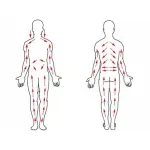 Ingrijire personala si Cosmetice - Sanatate si wellness - Articole wellness - Aparate si dispozitive de masaj - Perie pentru masaj corporal cu maner detasabil, lemn, 45x6.5 cm, Gonga® Maro - Infinity.ro