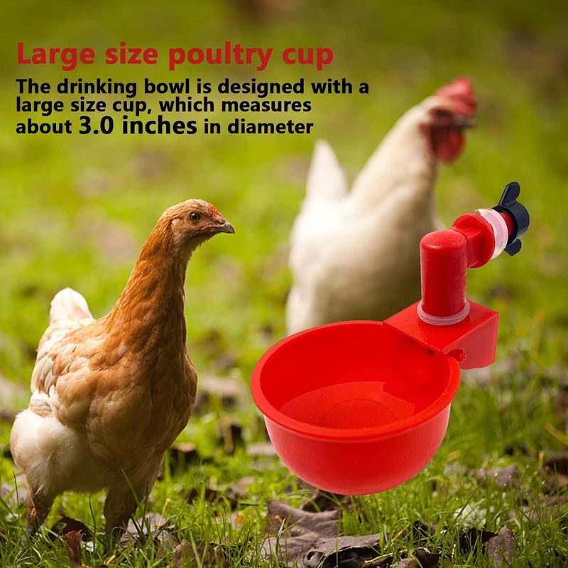 Casa si Gradina - Gradinarit si plante - Produse zootehnice - Adapatoare animale - st 6 adapatoare pentru pui, snmosar, Plasic, Ros - Infinity.ro